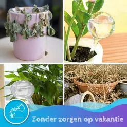 Summer Spark Waterdruppelaar Voor Planten 6 Stuks Transparant – 27 CM X 8 CM – 250 ML – Automatisch Watergeefsysteem Voor Kamerplanten – Planten Watergever Met Druppelsysteem – Waterbol 10 Summer Spark Waterdruppelaar Voor Planten 6 Stuks Transparant – 27 CM X 8 CM – 250 ML – Automatisch Watergeefsysteem Voor Kamerplanten – Planten Watergever Met Druppelsysteem – Waterbol -Bloempotten Verkoop 1200x1200 948