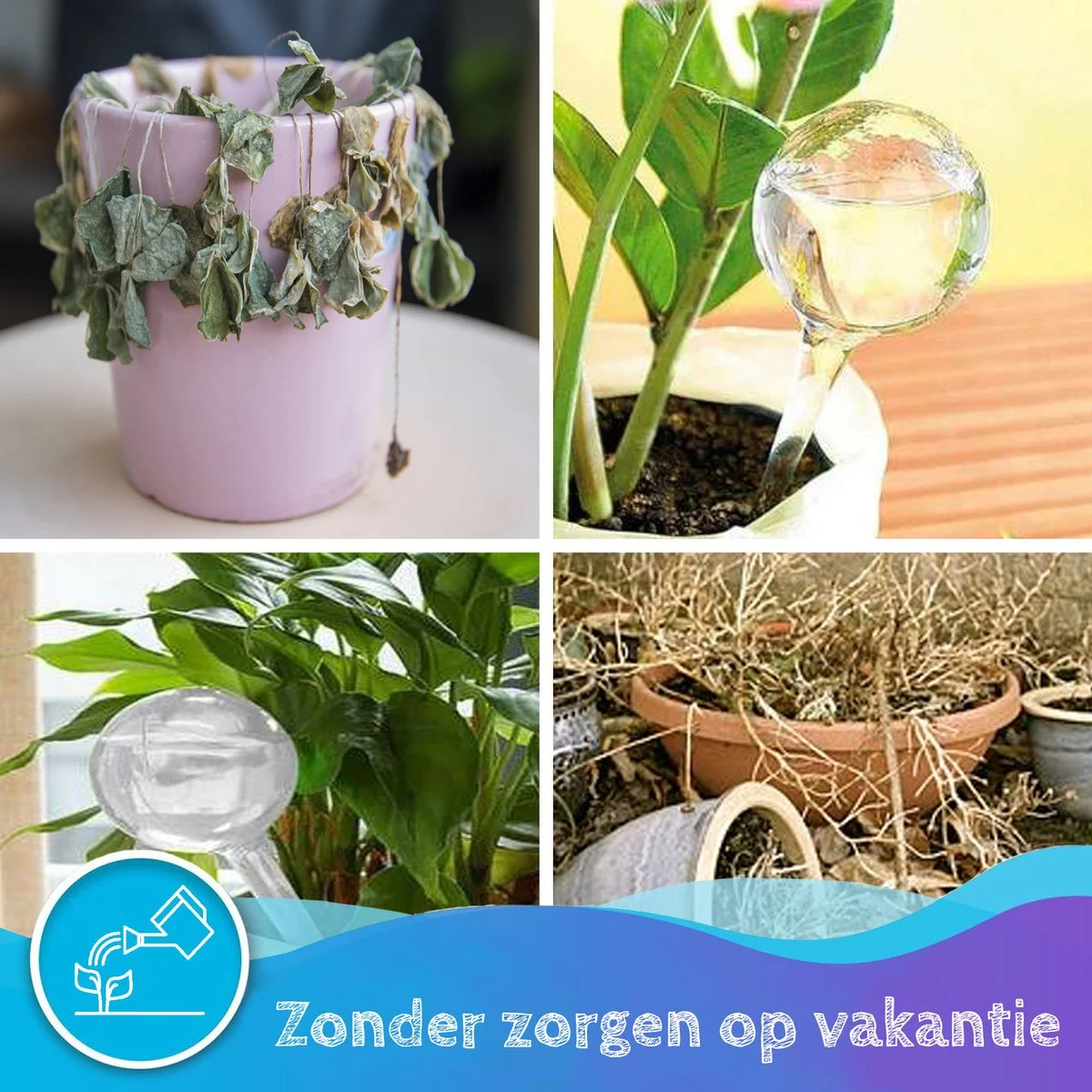 Summer Spark Waterdruppelaar Voor Planten 6 Stuks Transparant – 27 CM X 8 CM – 250 ML – Automatisch Watergeefsysteem Voor Kamerplanten – Planten Watergever Met Druppelsysteem – Waterbol 5 Summer Spark Waterdruppelaar Voor Planten 6 Stuks Transparant – 27 CM X 8 CM – 250 ML – Automatisch Watergeefsysteem Voor Kamerplanten – Planten Watergever Met Druppelsysteem – Waterbol - Afbeelding 5