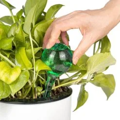 Merkloos Decopatent® 4 Stuks - Waterdruppelaar Voor Planten - Watergever - Glas - Waterbollen - Watergeefsysteem - Plantenbollen - Groen -Bloempotten Verkoop 1200x1200 952