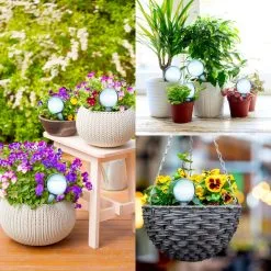 Minismus Druppelsysteem 12 Stuks Waterdruppelaar Voor Planten - Waterafgiftesysteem Voor 2 Weken - Beregening Voor Kamerplanten -Bloempotten Verkoop 1200x1200 956