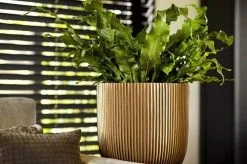 Capi Europe - Bloempot Bol Groove XL - 33x35 - Goud - Bloempot Voor Binnen - Opening ⌀28 - GVGB932 -Bloempotten Verkoop 1200x796