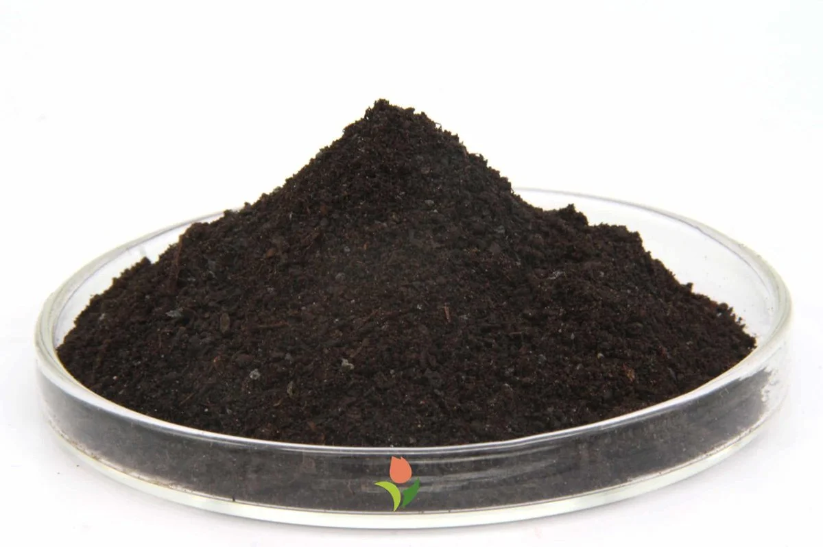 Plant Health Cure Biovin - 20 Kg - De Onmisbare Krachtige Bodemverbeteraar - 100% Druivenrestant - Sterke Groei Een Gezondere Teelt 2 Plant Health Cure Biovin - 20 Kg - De Onmisbare Krachtige Bodemverbeteraar - 100% Druivenrestant - Sterke Groei Een Gezondere Teelt - Afbeelding 2