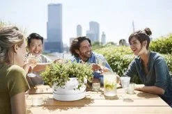 Elho Greenville Schaal 33 - Bloempot Voor Buiten - Ø 32.5 X H 19.4 Cm - Groen/Blad Groen 11 Elho Greenville Schaal 33 - Bloempot Voor Buiten - Ø 32.5 X H 19.4 Cm - Groen/Blad Groen -Bloempotten Verkoop 1200x799 1