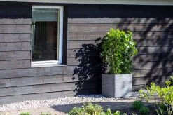 Capi Europe - Bloempot Vierkant Rib NL - 30x30x30 - Zwart - Voor Binnen En Buiten - KBLR902 13 Capi Europe - Bloempot Vierkant Rib NL - 30x30x30 - Zwart - Voor Binnen En Buiten - KBLR902 -Bloempotten Verkoop 1200x799 4