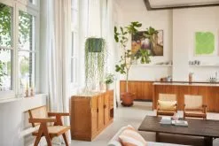 Elho B.for Swing 18 Hangpot - Bloempot Voor Binnen - Ø 18.0 X H 16.5 Cm - Groen/Blad Groen -Bloempotten Verkoop 1200x800 13