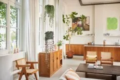 Elho B.for Swing 18 Hangpot - Bloempot Voor Binnen - Ø 18.0 X H 16.5 Cm - Groen/Blad Groen -Bloempotten Verkoop 1200x800 14