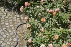 GARDENA Kraanverbindingsstuk Binnenshuis -Bloempotten Verkoop 1200x800 162