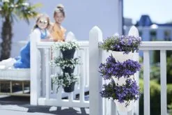 Elho Corsica Vertical Forest 24 - Bloempot Voor Balkonbuiten - Ø 26.7 X H 29.7 Cm - Wit/Wit -Bloempotten Verkoop 1200x800 2