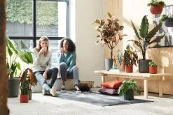 Elho B.for Soft Rond 25 - Bloempot Voor Binnen - Ø 24.7 X H 23.3 Cm - Antraciet 15 Elho B.for Soft Rond 25 - Bloempot Voor Binnen - Ø 24.7 X H 23.3 Cm - Antraciet -Bloempotten Verkoop 1200x800