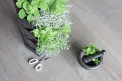 Prosperplast Verticale Kruidentuin Kunststof - Staand/hangend - Modulair - Antraciet Grijs - L 20 X B 11 X H 48 Cm - Incl. Kruidenschaar 17 Prosperplast Verticale Kruidentuin Kunststof - Staand/hangend - Modulair - Antraciet Grijs - L 20 X B 11 X H 48 Cm - Incl. Kruidenschaar -Bloempotten Verkoop 1200x800 33