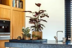 Capi Europe - Vaas Bol Groove XL - 39x33 - Goud - Bloempot Voor Binnen - Opening ⌀24 - GVGB270 -Bloempotten Verkoop 1200x800 35