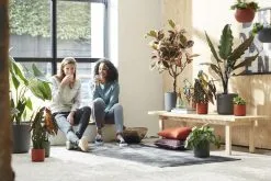 Elho B.for Soft Rond 35 - Bloempot Voor Binnen - Ø 34.5 X H 32.3 Cm - Antraciet -Bloempotten Verkoop 1200x800 40