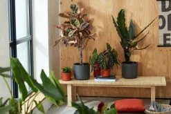 Elho B.for Soft Rond 30 - Bloempot Voor Binnen - Ø 29.5 X H 27.6 Cm - Wit -Bloempotten Verkoop 1200x800 44