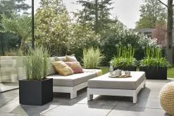 Elho Vivo Next Vierkant 30 - Plantenbak Voor Binnen & Buiten - Ø 29.5 X H 29.5 Cm - Zwart/Living Black -Bloempotten Verkoop 1200x800 50