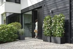 Elho Vivo Next Vierkant 40 - Plantenbak Voor Binnen & Buiten - Ø 39.0 X H 37.9 Cm - Zwart/Living Black -Bloempotten Verkoop 1200x800 53