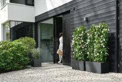 Elho Vivo Next Vierkant 40 - Plantenbak Voor Binnen & Buiten - Ø 39.0 X H 37.9 Cm - Zwart/Living Black -Bloempotten Verkoop 1200x800 54