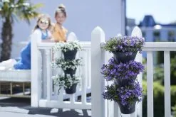 Elho Corsica Vertical Forest 24 - Bloempot Voor Balkonbuiten - Ø 26.7 X H 29.7 Cm - Zwart/Antraciet 23 Elho Corsica Vertical Forest 24 - Bloempot Voor Balkonbuiten - Ø 26.7 X H 29.7 Cm - Zwart/Antraciet -Bloempotten Verkoop 1200x800 6