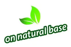 Topbuxus Buxus Health Mix 10 Topbuxus Buxus Health Mix -Bloempotten Verkoop 1200x803