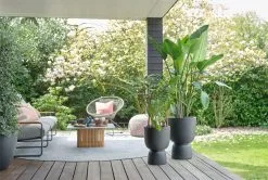 Elho Pure Coupe 35 - Bloempot Voor Binnen & Buiten - Ø 34.9 X H 49.0 Cm - Zwart/Zwart -Bloempotten Verkoop 1200x805 1