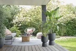 Elho Pure Coupe 35 - Bloempot Voor Binnen & Buiten - Ø 34.9 X H 49.0 Cm - Zwart/Zwart -Bloempotten Verkoop 1200x805