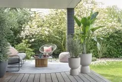 Elho Pure Coupe 41 - Bloempot Voor Binnen & Buiten - Ø 41.3 X H 57.9 Cm - Beige/Balanced Beige 20 Elho Pure Coupe 41 - Bloempot Voor Binnen & Buiten - Ø 41.3 X H 57.9 Cm - Beige/Balanced Beige -Bloempotten Verkoop 1200x808 2