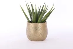 Mica Decorations Clemente Bloempot - H31 X Ø38 Cm - Terracotta - Goud 14 Mica Decorations Clemente Bloempot - H31 X Ø38 Cm - Terracotta - Goud -Bloempotten Verkoop 1200x813 1