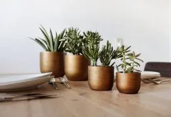 Capi Europe - Set Van 4 - Bloempot Binnen - Retro - - Goud - Bloempot Voor Binnen - BOX-BRTG-4 7 Capi Europe - Set Van 4 - Bloempot Binnen - Retro - - Goud - Bloempot Voor Binnen - BOX-BRTG-4 -Bloempotten Verkoop 1200x820 1