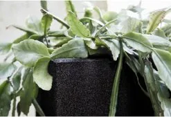 Capi Europe - Bloempot Vierkant Smooth NL - 40x40x40 - Zwart - Voor Binnen En Buiten - KBL903 25 Capi Europe - Bloempot Vierkant Smooth NL - 40x40x40 - Zwart - Voor Binnen En Buiten - KBL903 -Bloempotten Verkoop 1200x820