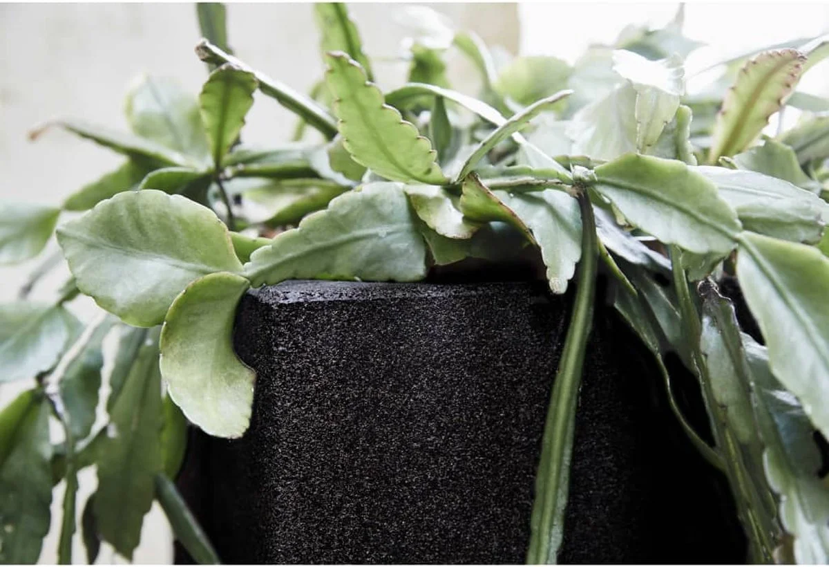 Capi Europe - Bloempot Vierkant Smooth NL - 40x40x40 - Zwart - Voor Binnen En Buiten - KBL903 10 Capi Europe - Bloempot Vierkant Smooth NL - 40x40x40 - Zwart - Voor Binnen En Buiten - KBL903 - Afbeelding 10