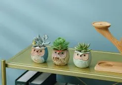 PlantCerra Luxe Bamboe Houten Boom Met 3 Keramiek Uil Bloempotten/Plantenpotten Op Standaard/Voet Voor Binnen En Buiten - Modern Design Bloempot/Plantenpot Op Poten/Pootjes-Plantenbak Mini Cactus Nep Plant Pot Houder - Kleine Bloembakken Plantenrek/Plantenkurk -Bloempotten Verkoop 1200x840