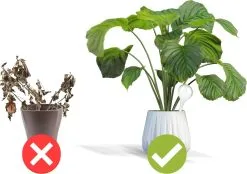 Minismus Druppelsysteem 12 Stuks Waterdruppelaar Voor Planten - Waterafgiftesysteem Voor 2 Weken - Beregening Voor Kamerplanten -Bloempotten Verkoop 1200x843 1