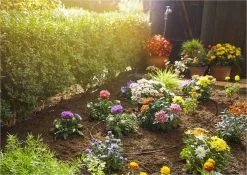 GARDENA Micro Drip System Startset S - Voor Rijplanten Druppelsysteem- 15 Meter 18 GARDENA Micro Drip System Startset S - Voor Rijplanten Druppelsysteem- 15 Meter -Bloempotten Verkoop 1200x849