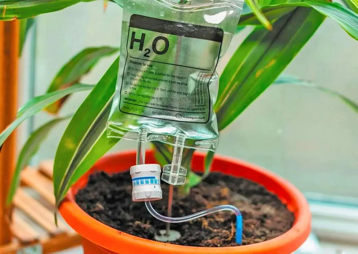 S&D Projects Plant Infuus H2o - Waterdruppelaar - Automatisch Bewateringssysteem Planten - Druppelirrigatie - Transparant - 350ml 2 S&D Projects Plant Infuus H2o - Waterdruppelaar - Automatisch Bewateringssysteem Planten - Druppelirrigatie - Transparant - 350ml - Afbeelding 2