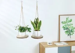 Mycramé Set Van 2 Boomstam Rond Wandrek Plantenhangers - Boho Jute Houten Plantenrek - Hangpot Voor Binnen/Buiten - Hangende Bloempot Plank - Hangplant Houder - Bohemian Macrame Stijl Wandhanger - Hangplank Plant Hanger - Planthanger - Ø Rond 25-20cm -Bloempotten Verkoop 1200x856 1