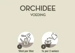 Pokon Orchidee Voeding - 500ml - Plantenvoeding - 10ml Per 1L Water 9 Pokon Orchidee Voeding - 500ml - Plantenvoeding - 10ml Per 1L Water -Bloempotten Verkoop 1200x856 4