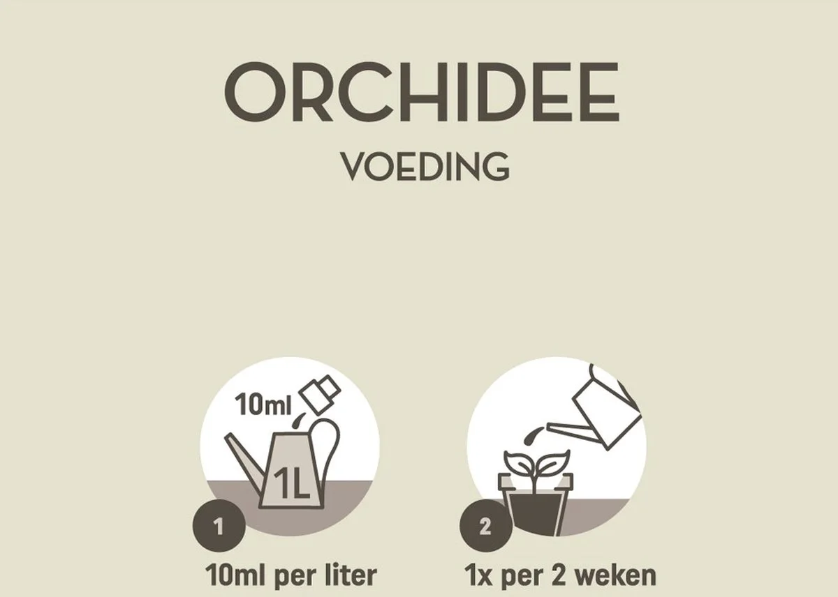 Pokon Orchidee Voeding - 500ml - Plantenvoeding - 10ml Per 1L Water 4 Pokon Orchidee Voeding - 500ml - Plantenvoeding - 10ml Per 1L Water - Afbeelding 4