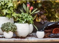 Capi Europe - Set Van 3 - Bloempot Binnen - Rib Ivoor -Bloempotten Verkoop 1200x878