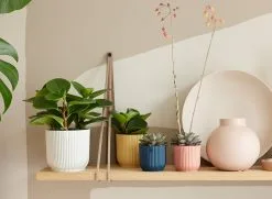 Elho Vibes Fold Rond 30 - Bloempot Voor Binnen - Ø 29.5 X H 27.2 Cm - Zijdewit -Bloempotten Verkoop 1200x879 2