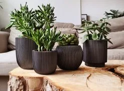 Capi Europe - Set Van 4 - Bloempot Binnen - Groove - Antraciet -Bloempotten Verkoop 1200x881