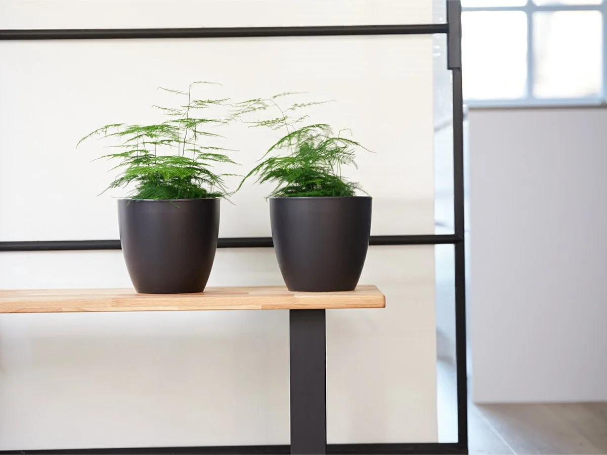 Ter Steege Plantenpot/bloempot In Een Strakke Scandinavische Look Zwart Dia 20 Cm En Hoogte 19 Cm Glanzend 2 Ter Steege Plantenpot/bloempot In Een Strakke Scandinavische Look Zwart Dia 20 Cm En Hoogte 19 Cm Glanzend - Afbeelding 2