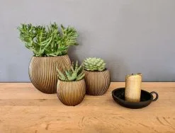 Capi Europe - Set Van 3 - Bloempot Binnen - Groove - - Goud - Bloempot Voor Binnen - BOX-BGVGB-3 -Bloempotten Verkoop 1200x912
