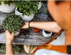 Capi Europe - Set Van 3 - Bloempot Binnen - Rib Ivoor -Bloempotten Verkoop 1200x930