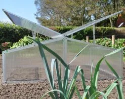 Royal Well Broeikas Silver Thyme -Bloempotten Verkoop 1200x947 2