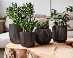 Capi Europe - Set Van 4 - Bloempot Binnen - Groove - Antraciet -Bloempotten Verkoop 1200x953