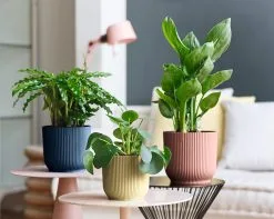 Elho Vibes Fold Rond Wielen 35 - Bloempot Voor Binnen - Ø 34.9 X H 32.4 Cm - Diepblauw 13 Elho Vibes Fold Rond Wielen 35 - Bloempot Voor Binnen - Ø 34.9 X H 32.4 Cm - Diepblauw -Bloempotten Verkoop 1200x956