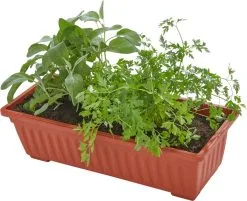 Tectake - Verticaal Plantenrek Met 4 Bakken - 403445 11 Tectake - Verticaal Plantenrek Met 4 Bakken - 403445 -Bloempotten Verkoop 1200x975 1