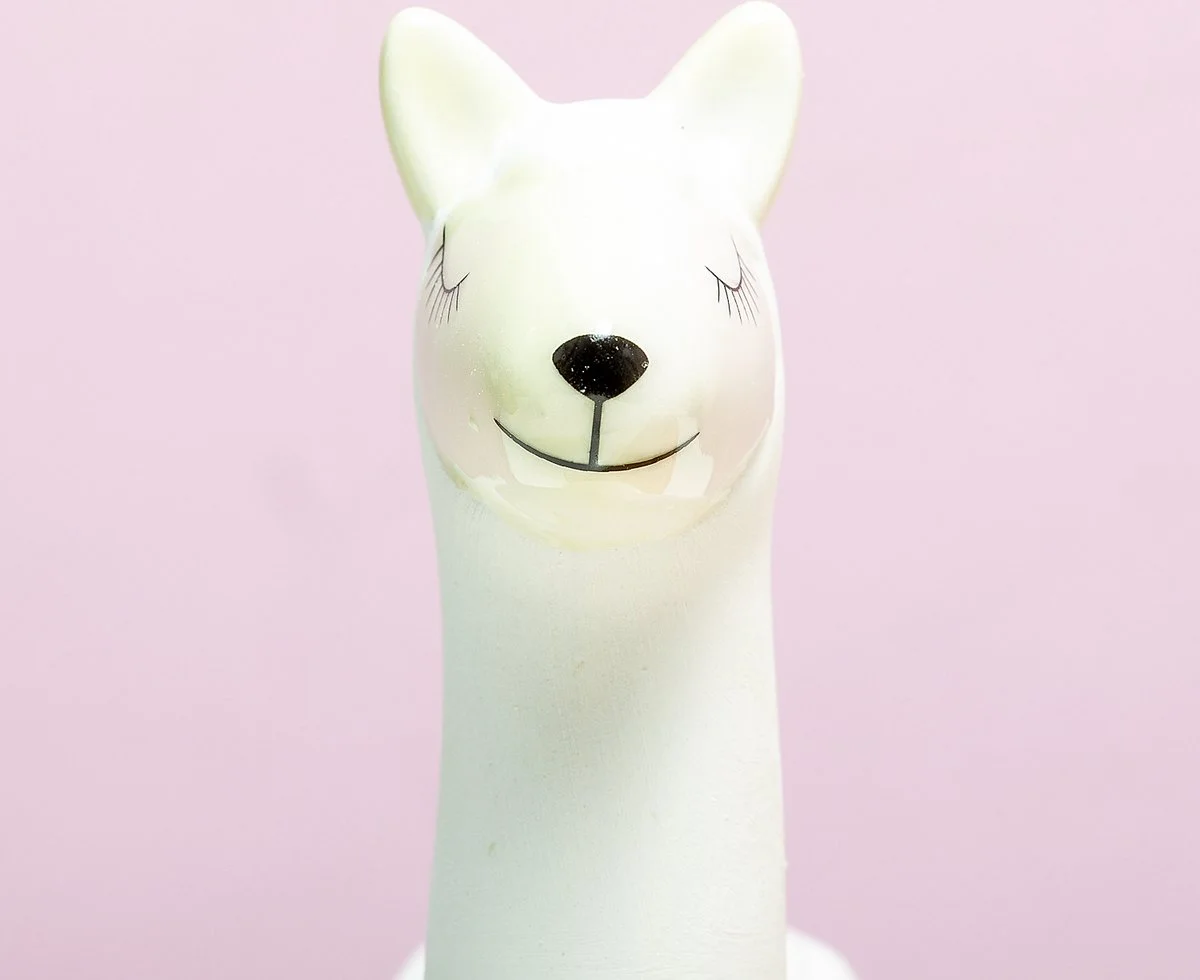 Gift Republic Lama Bloempot Met Zaadjes 1 Gift Republic Lama Bloempot Met Zaadjes