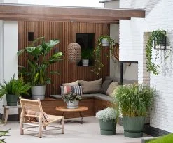 Elho Greenville Rond 30 - Grote Bloempot Voor Buiten - Gemaakt Van Gereycled Plastic - Ø 29.5 X H 27.8 Cm - Blad Groen -Bloempotten Verkoop 1200x996