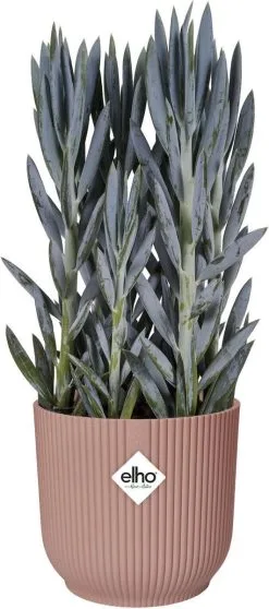 Elho Vibes Fold Rond Wielen 35 - Bloempot Voor Binnen - Ø 34.9 X H 32.4 Cm - Delicaat Roze -Bloempotten Verkoop 531x1200 3