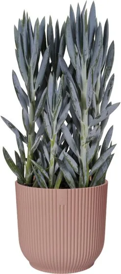 Elho Vibes Fold Rond Wielen 35 - Bloempot Voor Binnen - Ø 34.9 X H 32.4 Cm - Delicaat Roze -Bloempotten Verkoop 533x1200 1